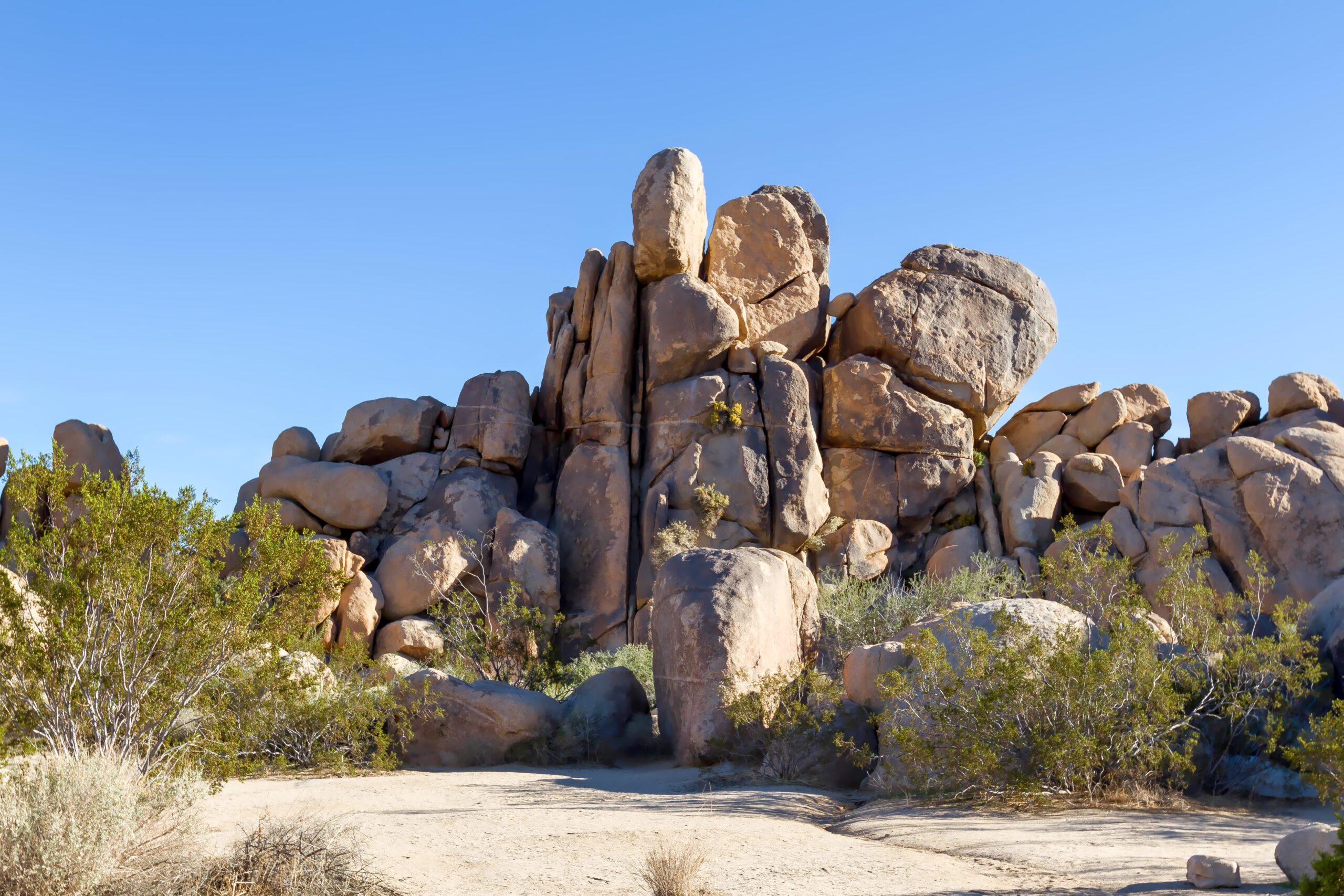 Joshua Tree National Park Elopement