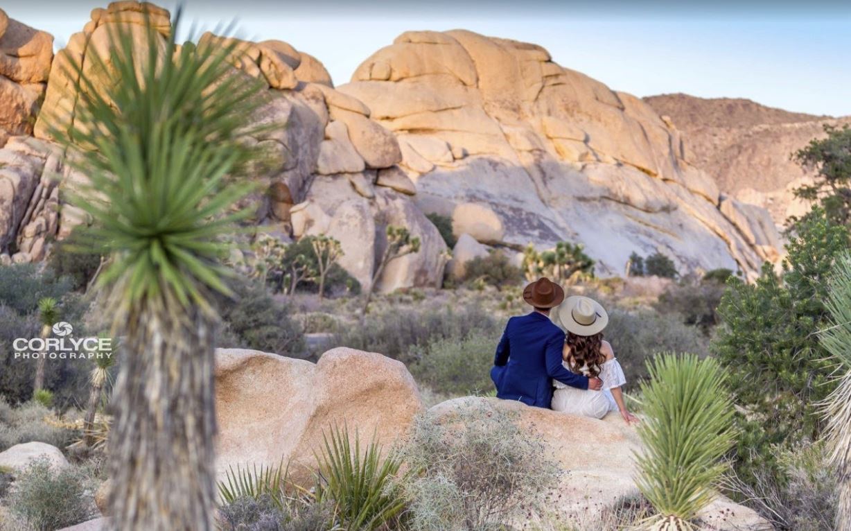 Joshua Tree National Park Elopement 09