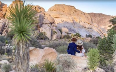 Joshua Tree 09